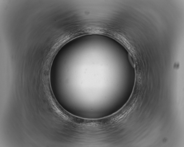 X0000098130433200804171525