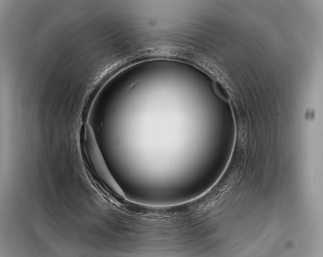 X0000098130434200804171525