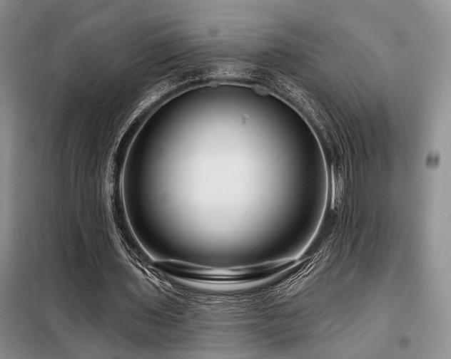X0000098130435200804171525
