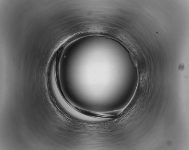 X0000098130436200804171525