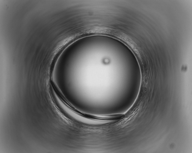 X0000098130437200804171525