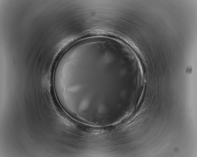 X0000098130438200804171525