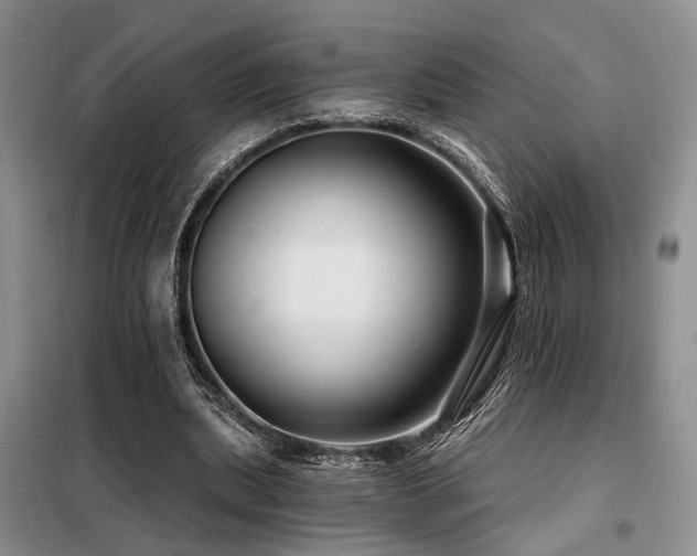 X0000098130439200804171525