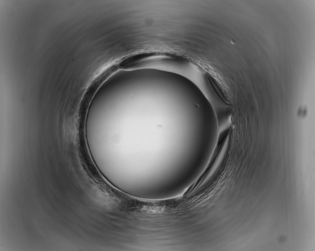 X0000098130440200804171525