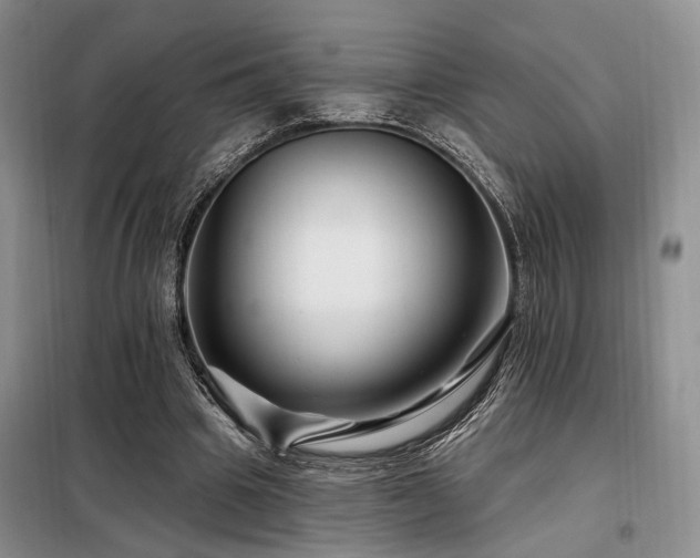 X0000098130441200804171525