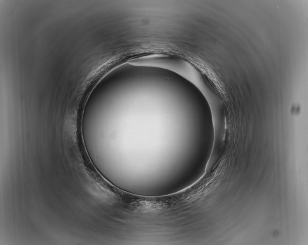 X0000098130442200804171525
