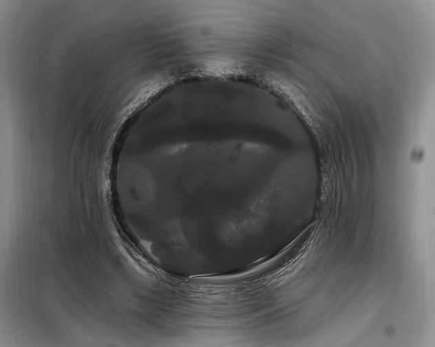 X0000098130443200804171525