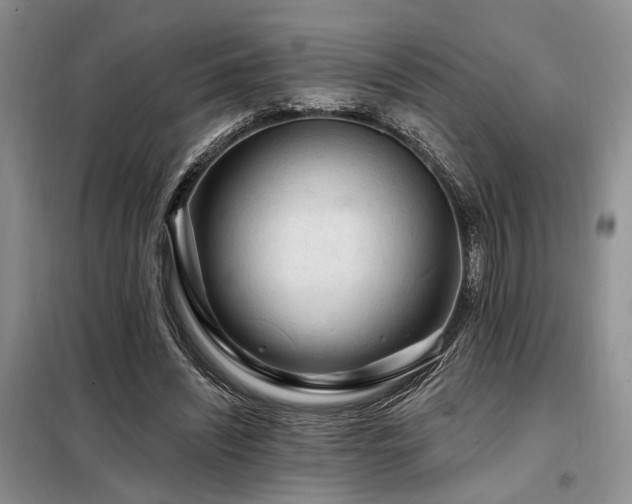 X0000098130444200804171526