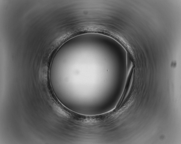 X0000098130445200804171526