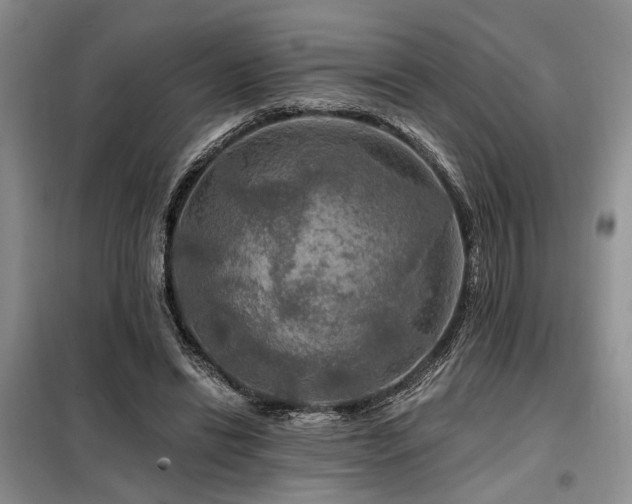 X0000098130446200804171526
