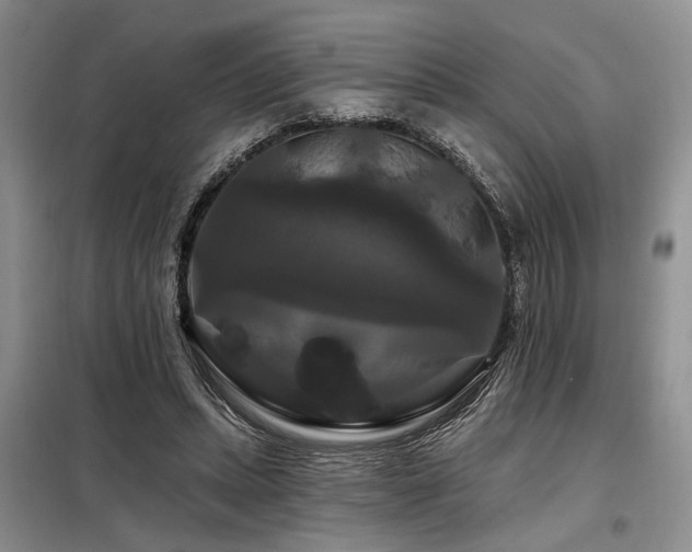 X0000098130447200804171526