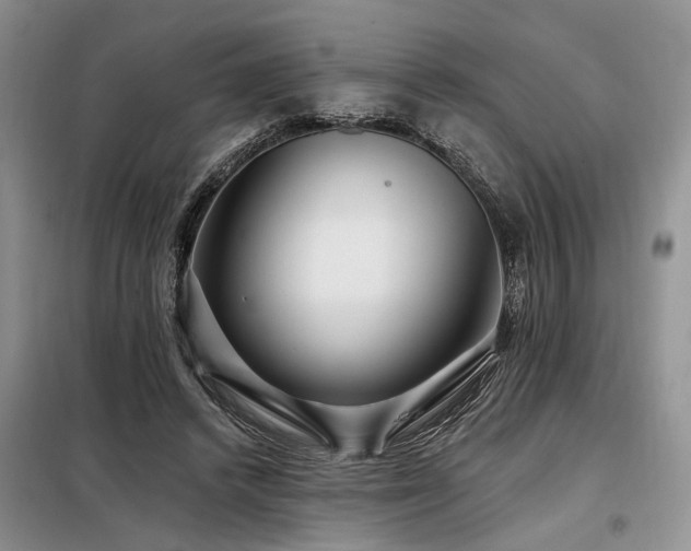 X0000098130448200804171526