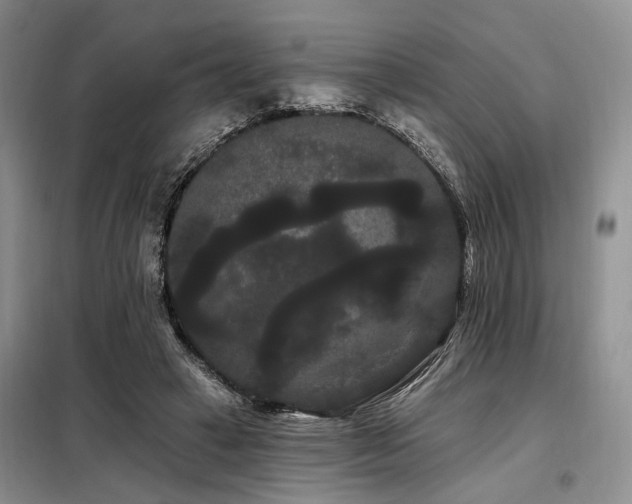 X0000098130449200804171526