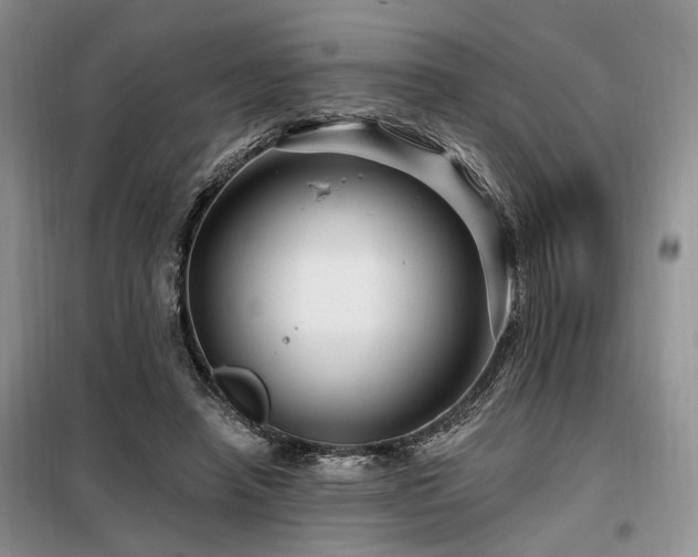X0000098130450200804171526