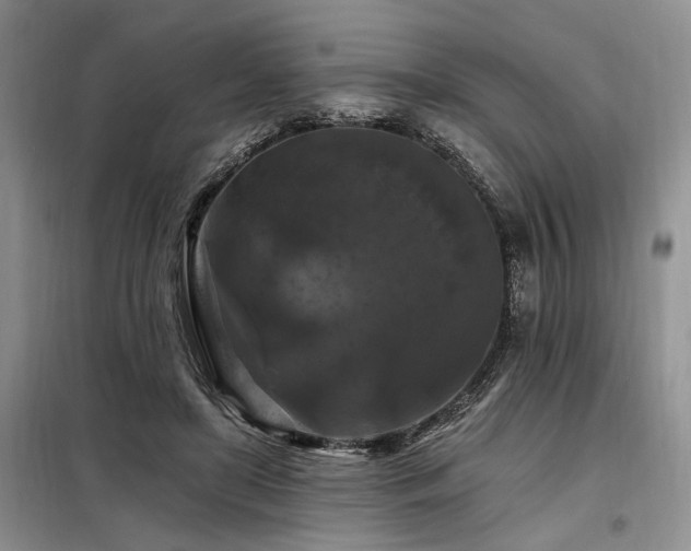 X0000098130451200804171526