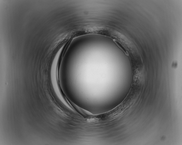 X0000098130452200804171526