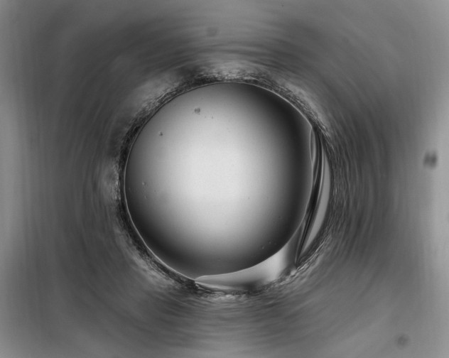 X0000098130453200804171526