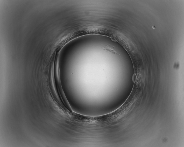 X0000098130454200804171526