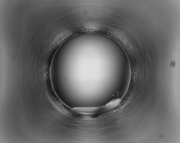 X0000098130455200804171526