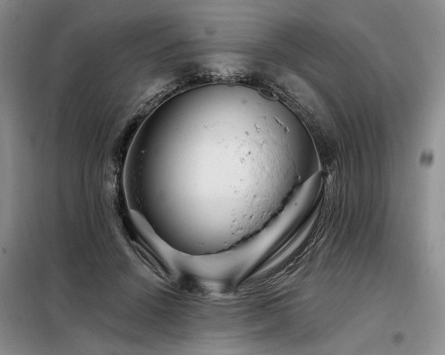 X0000098130456200804171526