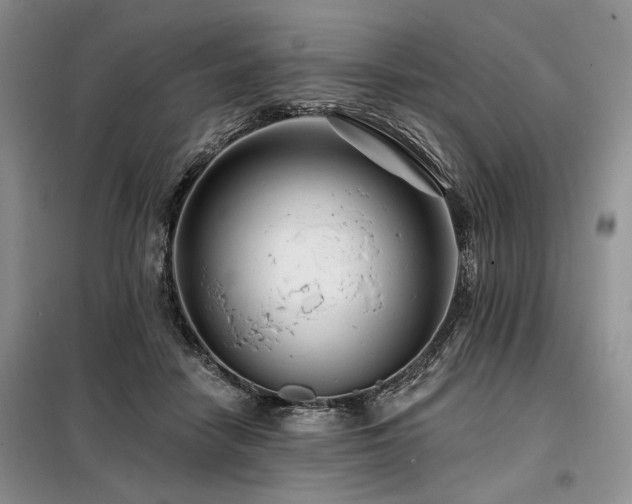 X0000098130458200804171526