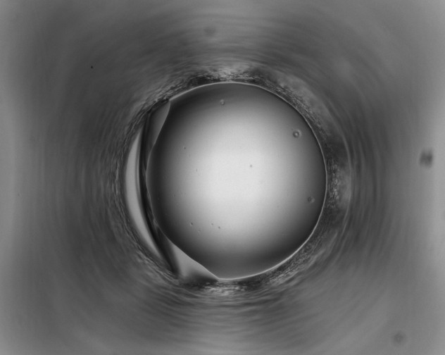 X0000098130461200804171526