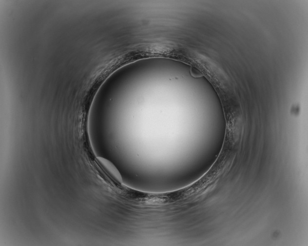 X0000098130462200804171526