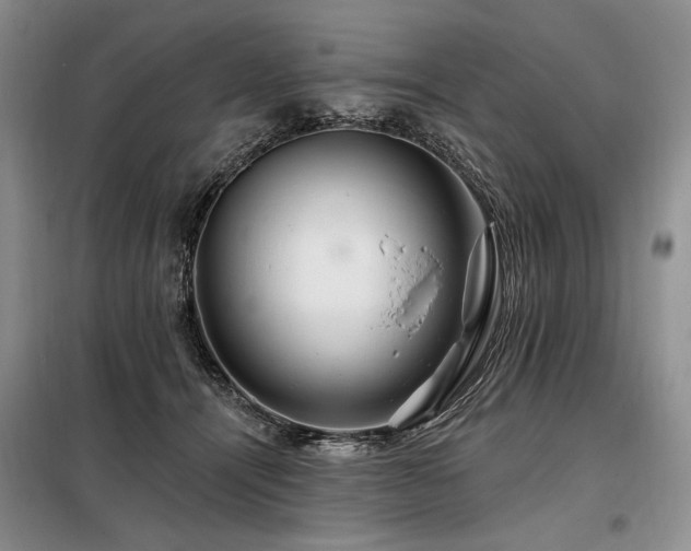 X0000098130464200804171526