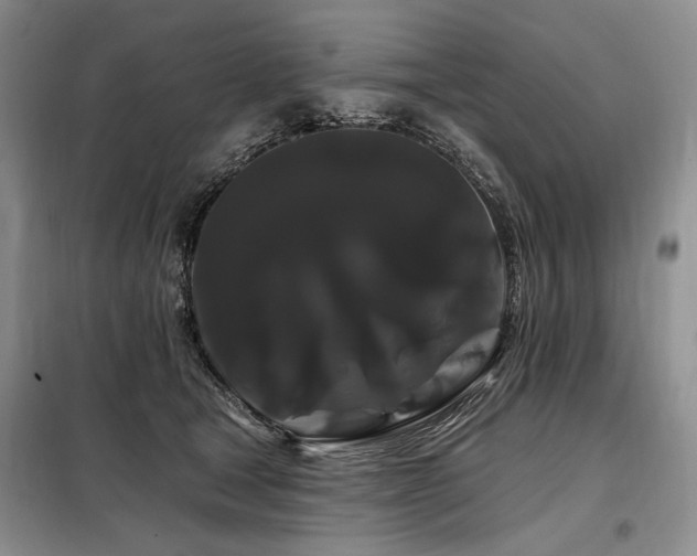 X0000098130465200804171526