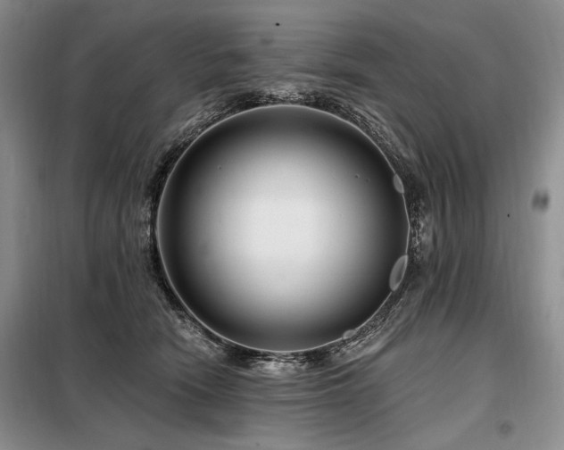 X0000098130466200804171526
