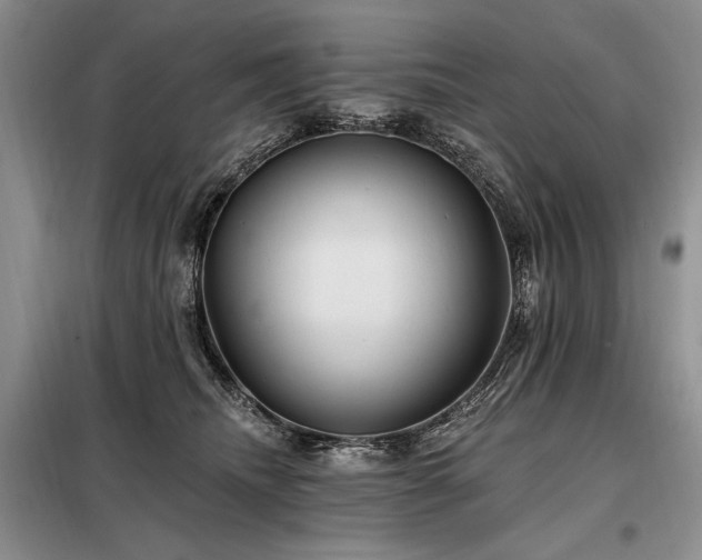 X0000098130468200804171526