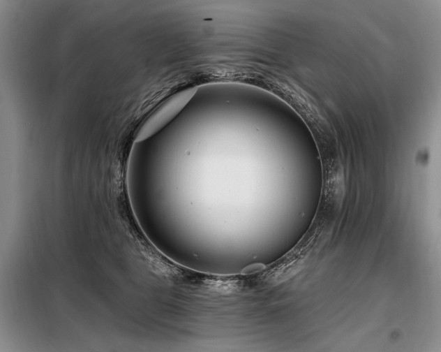 X0000098130469200804171526