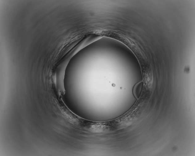 X0000098130470200804171526