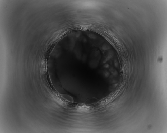 X0000098130471200804171526