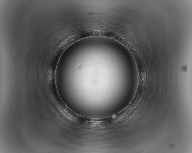 X0000098130472200804171526