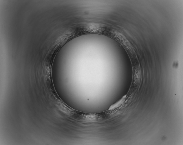 X0000098130473200804171526