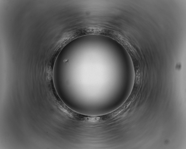 X0000098130474200804171526