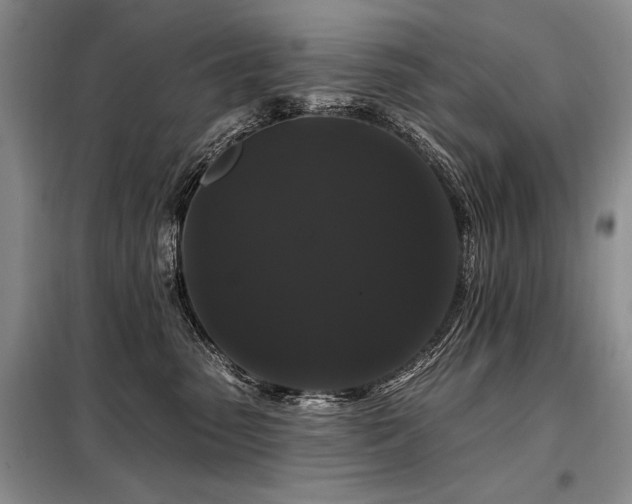 X0000098130475200804171526