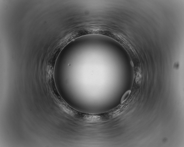 X0000098130476200804171526