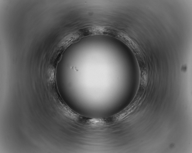 X0000098130477200804171526