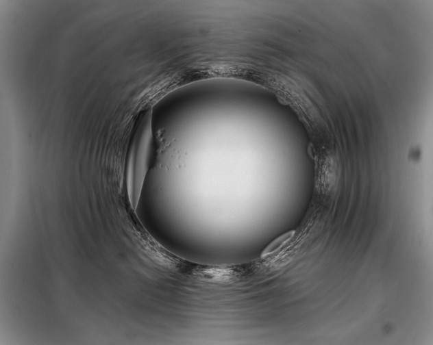 X0000098130478200804171526
