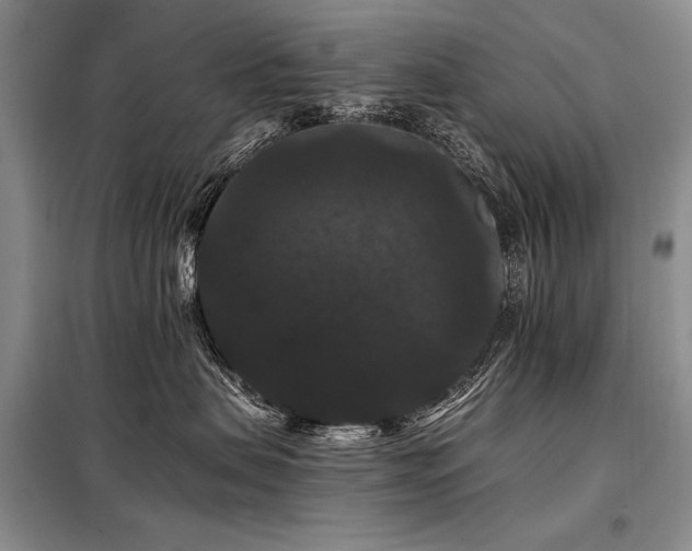 X0000098130479200804171526