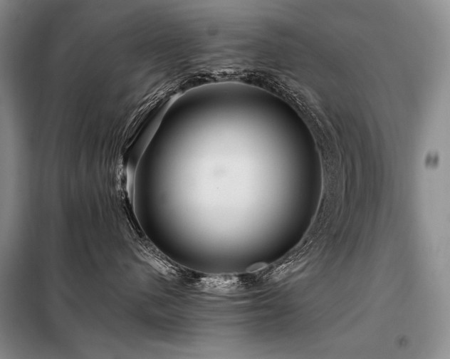 X0000098130480200804171526