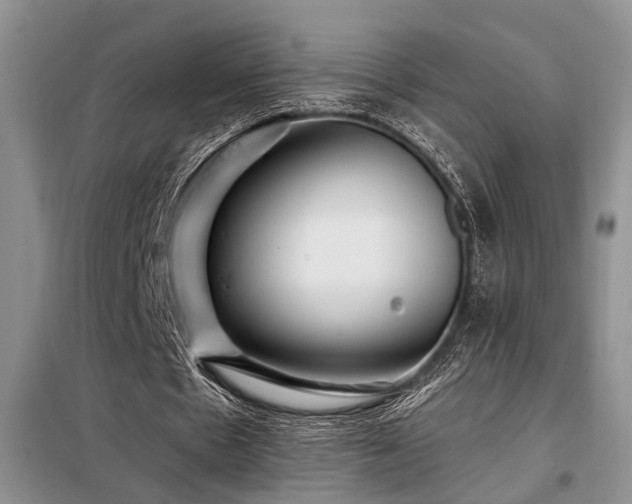 X0000098130481200804171525