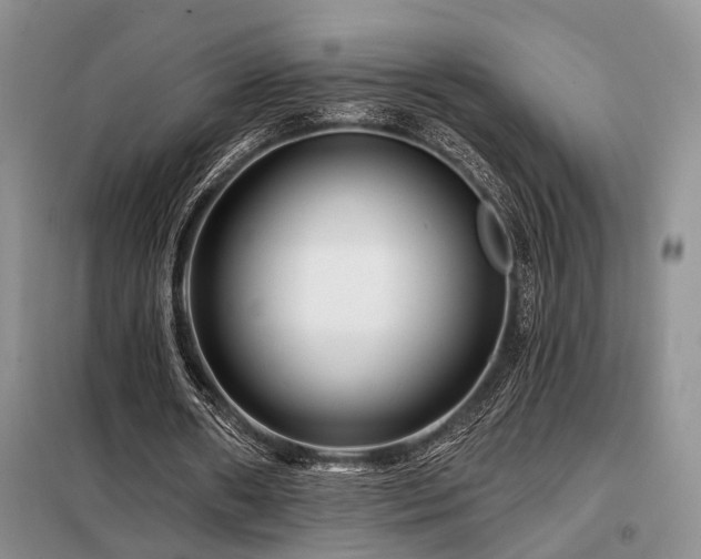 X0000098130482200804171525
