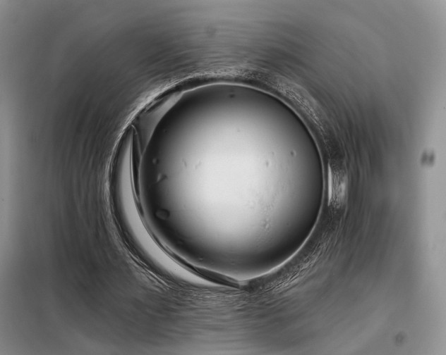 X0000098130483200804171525
