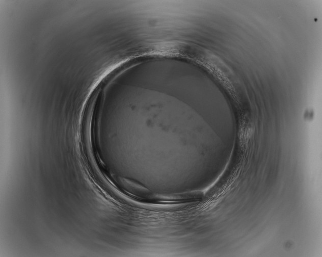 X0000098130484200804171525