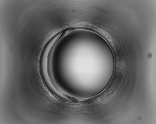 X0000098130485200804171525