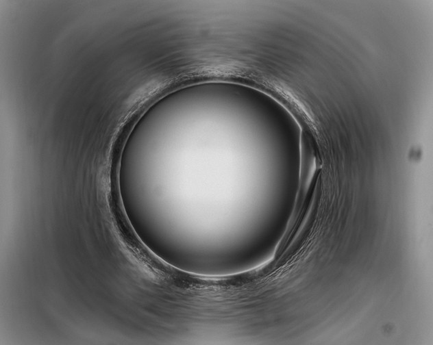 X0000098130486200804171525