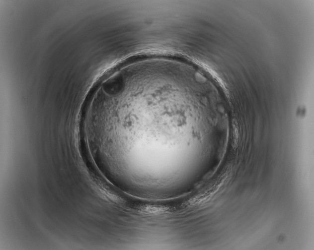 X0000098130487200804171525